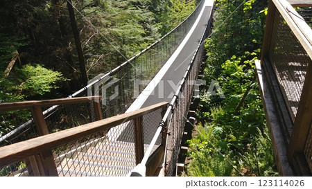 Capilano suspension bridge in North Vancouver Capilano suspension bridge in North Vancouver 123114026