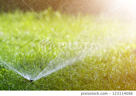 Lawn water sprinkler spraying water over lawn green fresh grass in garden or backyard on hot summer day. Automatic watering equipment, lawn maintenance, gardening and tools concept. Lawn water sprinkler spraying water over lawn green fresh grass in garden or backyard on hot summer day. Automatic watering equipment, lawn maintenance, gardening and tools concept. 123114086