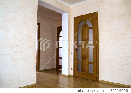 Interior of modern expensive house of apartment with wooden doors 123114098