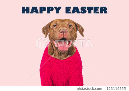 Happy Easter. Cute dog and congratulatory inscription Happy Easter. Cute dog and congratulatory inscription 123114335