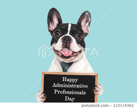 Happy Administrative Professionals Day. Lovable puppy and congratulatory inscription 123114362
