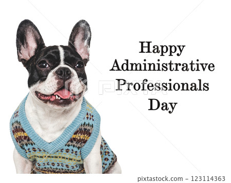 Happy Administrative Professionals Day. Lovable puppy and congratulatory inscription 123114363