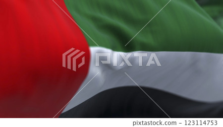 Close-up view of the United Arab Emirates national flag waving in the wind Close-up view of the United Arab Emirates national flag waving in the wind 123114753