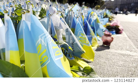 Many small blue-yellow flags with names of the dead war against russia. Memorial of the fallen soldiers, children, women in the capital of Ukraine. Concept of tragedy and misfortune. Close up 123114827