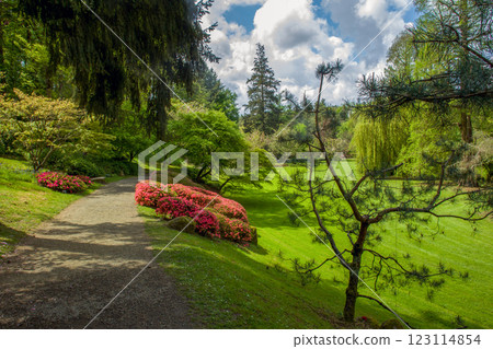 Japanese garden in Pays de la Loire  FOOTPATH AND RHODODNDRON BLOSSOMS 123114854