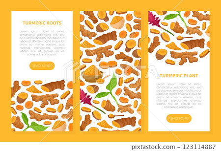 Turmeric Root Nature Spice and Plant Banner Design Vector Template 123114887