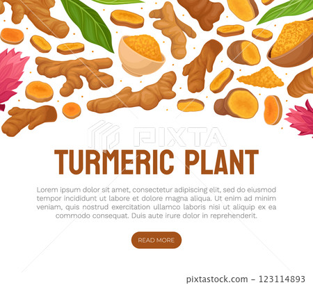 Turmeric Root Nature Spice and Plant Banner Design Vector Template Turmeric Root Nature Spice and Plant Banner Design Vector Template 123114893