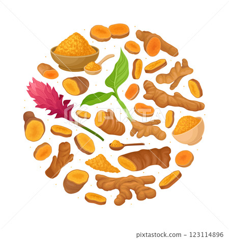 Turmeric Root Nature Spice and Plant Round Composition Vector Template Turmeric Root Nature Spice and Plant Round Composition Vector Template 123114896