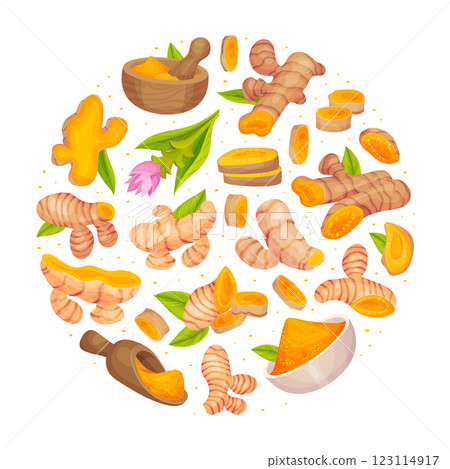 Turmeric Root Nature Spice and Plant Round Composition Vector Template Turmeric Root Nature Spice and Plant Round Composition Vector Template 123114917