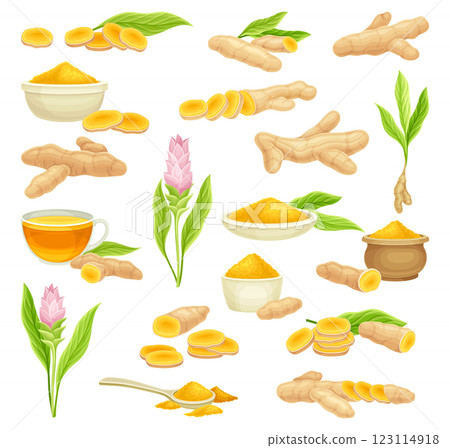 Turmeric Root Nature Spice and Plant Vector Set Turmeric Root Nature Spice and Plant Vector Set 123114918
