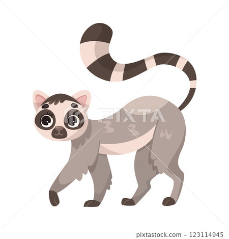 Lemur Monkey as Tropical Animal and Wild African Fauna Vector Illustration Lemur Monkey as Tropical Animal and Wild African Fauna Vector Illustration 123114945
