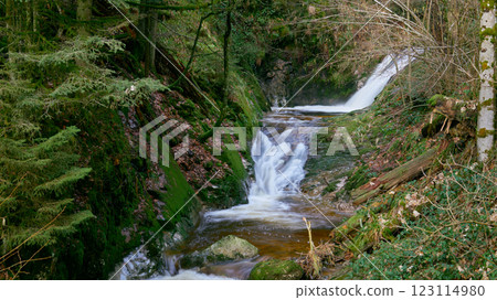 Misty Allerheiligen Waterfalls in Black Forest National Park, Germany. Scenic forest waterfall Allerheiligen Waterfalls in National Park SCHWARZWALD, Germany. Long exposure shot of a cascading 123114980