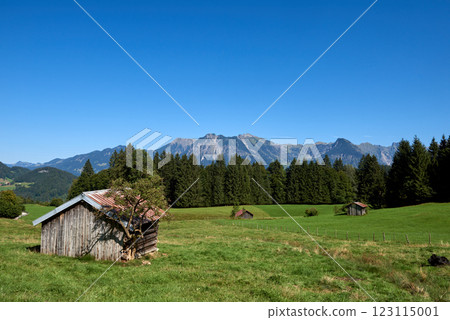 Rustic Wooden Cottage in Alpine Meadows: A Summer Retreat Amidst Majestic Mountains and Clear Blue Skies 123115001