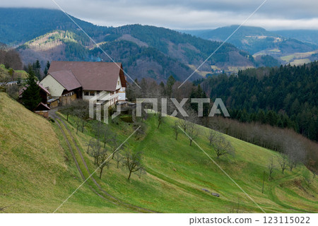 Scenic Rural House on Green Hill Overlooking Black Forest Mountains with Dramatic Sky. Traditional German Farmhouse in Baden Wurttemberg Forest Landscape with Rolling Hills and Pine Trees in Spring. Scenic Rural House on Green Hill Overlooking Black Forest Mountains with Dramatic Sky. Traditional German Farmhouse in Baden Wurttemberg Forest Landscape with Rolling Hills and Pine Trees in Spring. 123115022