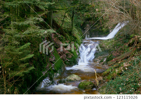 Majestic Allerheiligen Waterfalls: Powerful Cascades Over Mossy Rocks in Black Forest National Park's Pristine Wilderness 123115026