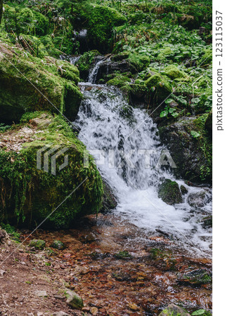 Mountain river water flow in green Alps forest. River stream waterfall in forest landscape. Scenic view of rocky mountains covered with snow located near hooker river flowing through rocks on sunny 123115037