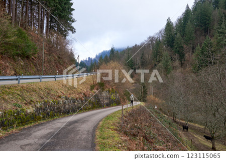 Scenic Mountain Road with Traditional Houses and Red Roofs in Black Forest Valley Landscape. Winding Rural Highway Through Alpine Village with White Buildings and Green Forest Hills Under Cloudy Sky. 123115065