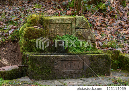 Ancient Forest Spring Water Source with Moss Covered Stone Construction from 1977. Historical Natural Water Fountain in Forest Environment with Green Moss and Fallen Autumn Leaves. Ancient Forest Spring Water Source with Moss Covered Stone Construction from 1977. Historical Natural Water Fountain in Forest Environment with Green Moss and Fallen Autumn Leaves. 123115069