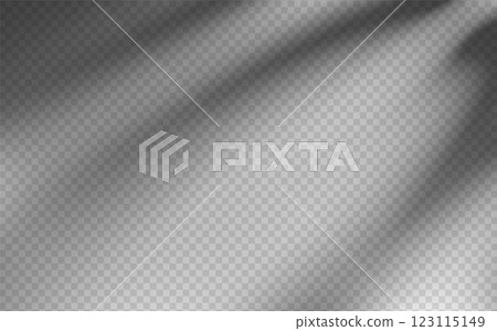 Abstract shadow overlay from foliage on a transparent background. 123115149
