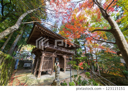 [八十八所] 秋季的大久保寺 - 山門與紅葉 [四國八十八所] 123115151