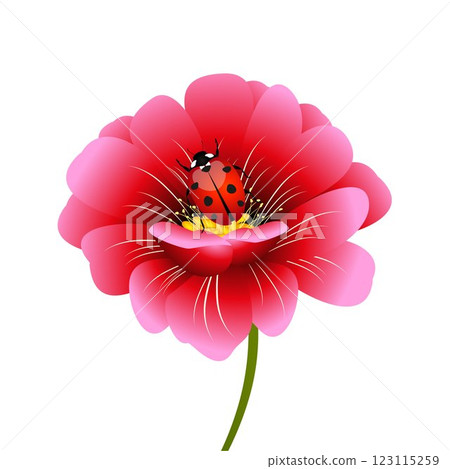 Pink flower with a ladybug. Pink flower with a ladybug. 123115259
