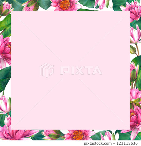Pink water lily flowers with leaves and buds. Floral square frame with place for text. Hand drawn watercolor illustration of lotus on pink isolated background. Botanical drawing for spa or zen design. Pink water lily flowers with leaves and buds. Floral square frame with place for text. Hand drawn watercolor illustration of lotus on pink isolated background. Botanical drawing for spa or zen design. 123115636