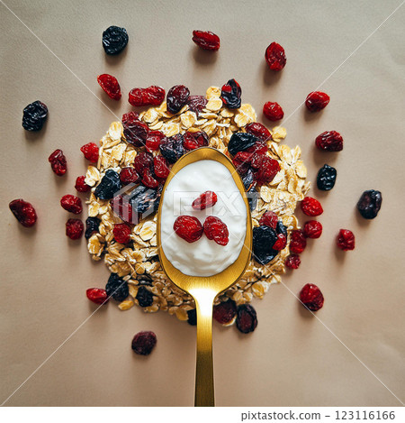 Creamy Yogurt with Cranberries and Oats 123116166