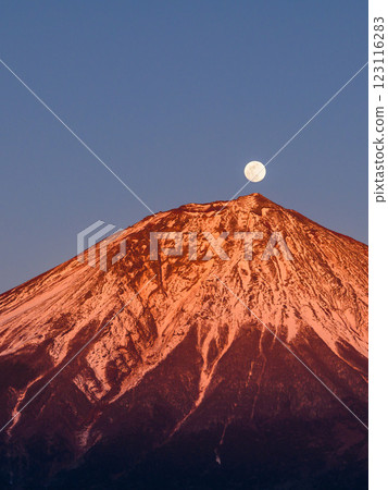 Pearl Fuji (Red Fuji) in Shizuoka Prefecture 123116283