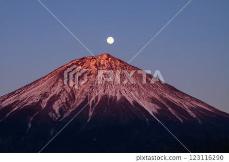 靜岡縣的珍珠富士（紅富士） 123116290