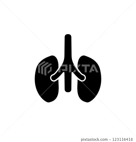 Kidneys, Human Urinary Organ, Anatomy Solid Flat Vector Icon Isolated on White Background 123116418