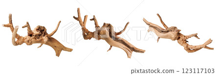 set old dry driftwood tree branch on an isolated white background 123117103
