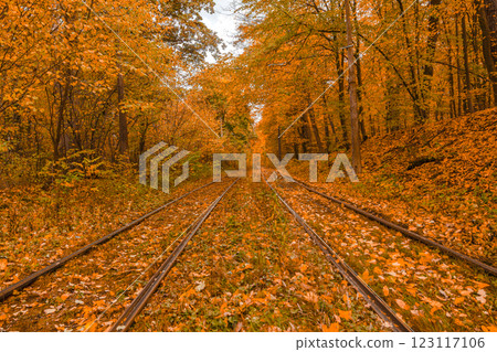 Autumn forest through which the tram travels, Kyiv and rails Autumn forest through which the tram travels, Kyiv and rails 123117106