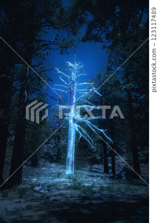 Composite image. Lifeless tree glowing with eerie blue energy in dark forest under starry sky, radiating supernatural neon glow. Composite image. Lifeless tree glowing with eerie blue energy in dark forest under starry sky, radiating supernatural neon glow. 123117489