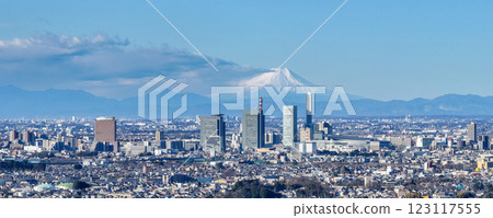 Aerial view of Saitama New Urban Center and Mt. Fuji, Saitama City 123117555