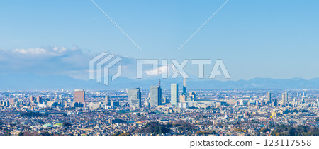 Aerial view of Saitama New Urban Center and Mt. Fuji, Saitama City Aerial view of Saitama New Urban Center and Mt. Fuji, Saitama City 123117558