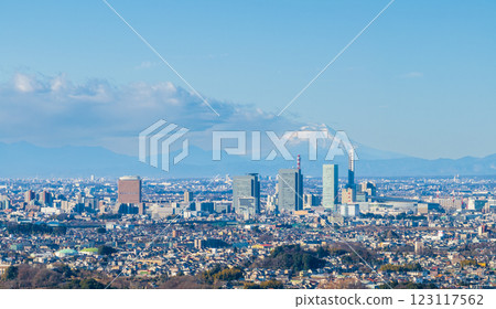 埼玉市埼玉新都心及富士山鳥瞰圖 123117562