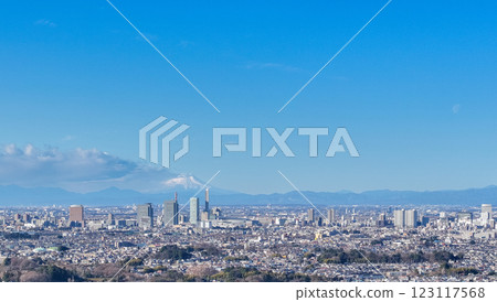 Aerial view of Saitama New Urban Center and Mt. Fuji, Saitama City 123117568