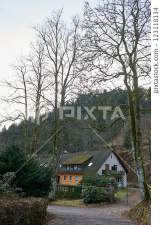 house, trees, wooden 123118134