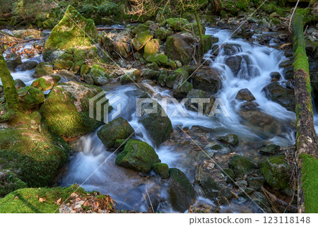 Majestic Allerheiligen Waterfalls: Powerful Cascades Over Mossy Rocks in Black Forest National Park's Pristine Wilderness 123118148