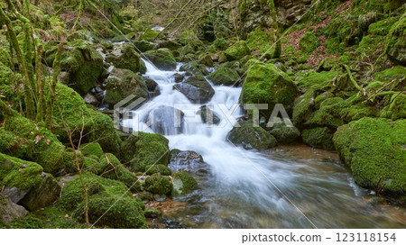 Majestic Allerheiligen Waterfalls: Powerful Cascades Over Mossy Rocks in Black Forest National Park's Pristine Wilderness Majestic Allerheiligen Waterfalls: Powerful Cascades Over Mossy Rocks in Black Forest National Park's Pristine Wilderness 123118154