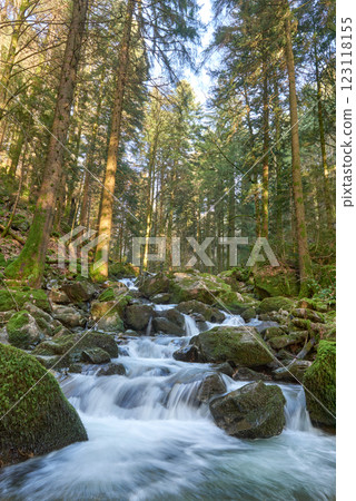 Majestic Allerheiligen Waterfalls: Powerful Cascades Over Mossy Rocks in Black Forest National Park's Pristine Wilderness 123118155