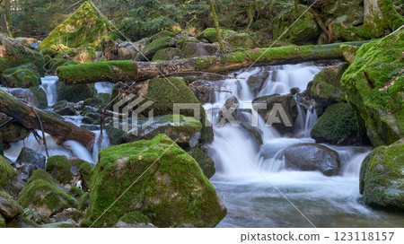 Majestic Allerheiligen Waterfalls: Powerful Cascades Over Mossy Rocks in Black Forest National Park's Pristine Wilderness 123118157