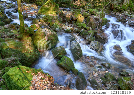 Majestic Allerheiligen Waterfalls: Powerful Cascades Over Mossy Rocks in Black Forest National Park's Pristine Wilderness 123118159