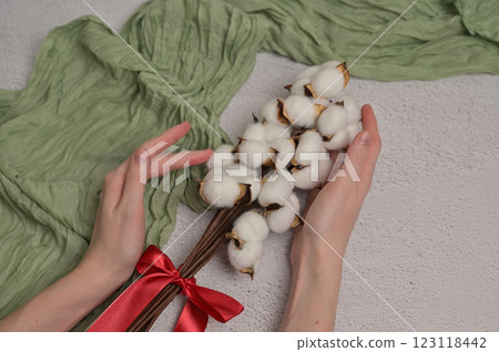 Woman's hands touching branch of cotton inflorescence plant with red silk bow on a white textured background. Green cloth. Spring. Compliment for Women's Day 8 March Woman's hands touching branch of cotton inflorescence plant with red silk bow on a white textured background. Green cloth. Spring. Compliment for Women's Day 8 March 123118442