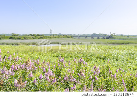 苫小牧市由拂津平原、由拂津川大橋 苫小牧市由拂津平原、由拂津川大橋 123118674