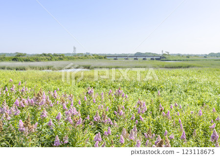 苫小牧市由拂津平原、由拂津川大橋 123118675