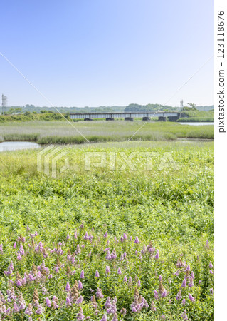 苫小牧市由拂津平原、由拂津川大橋 苫小牧市由拂津平原、由拂津川大橋 123118676