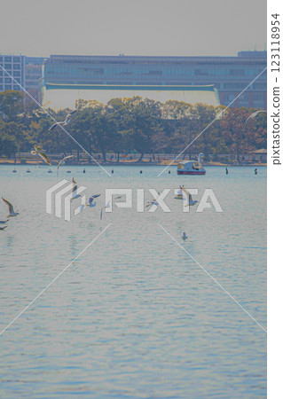候鳥飛翔的池塘 候鳥飛翔的池塘 123118954