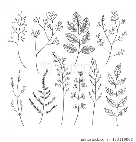 A refined collection of hand-drawn botanical elements, including leaves and small branches. Ideal for branding, packaging, wedding invitations, and elegant compositions. 123119008
