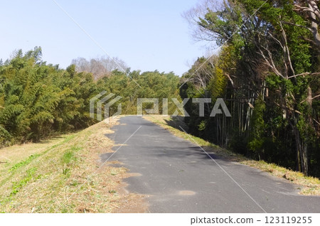 茨城縣常總市鬼怒川自行車道 2025 年 2 月 123119255